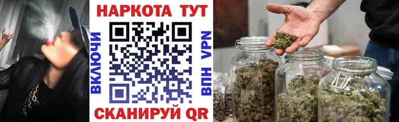 Что такое Трубчевск Псилоцибиновые грибы  МАРИХУАНА  Alpha-PVP  ГАШ  МЕФ  Кокаин 