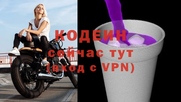 стаф Богородицк