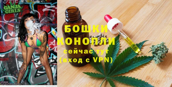 стаф Богородицк