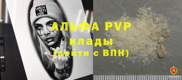 стаф Богородицк