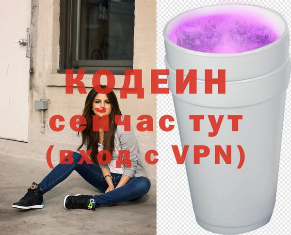 стаф Богородицк