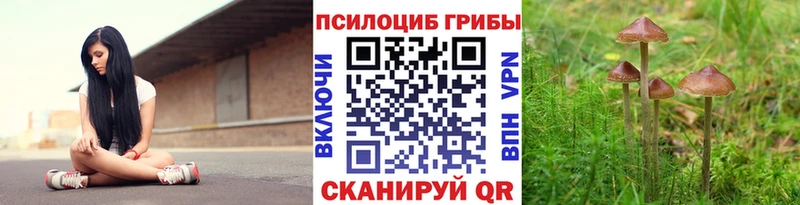 KRAKEN вход сколько стоит Трубчевск Псилоцибиновые грибы GOLDEN TEACHER